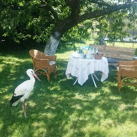 Mleczna Agroturystyka Jonkowo